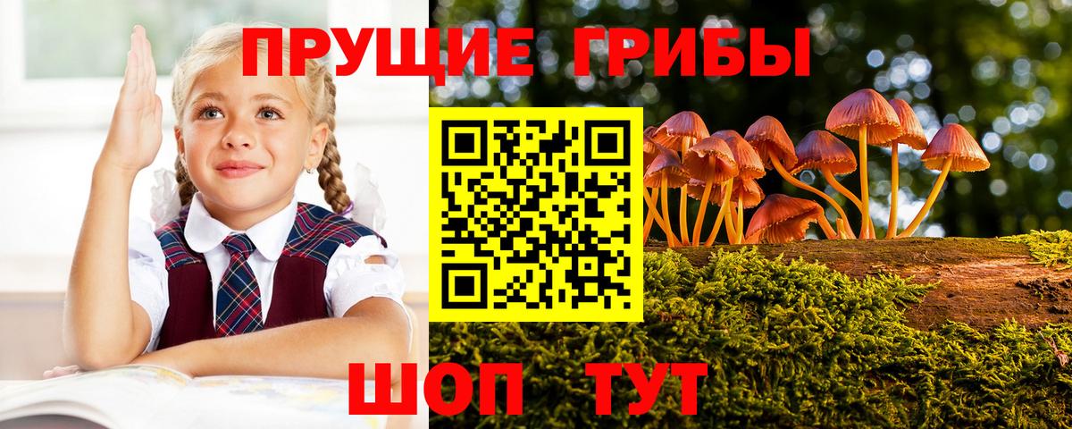 Псилоцибиновые грибы Cubensis  Галлюциногенные грибы прущие грибы  Алатырь  Вход с VPN 